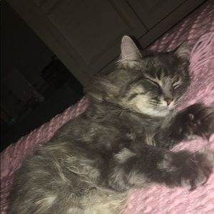 Meet your Posher, Tiffany